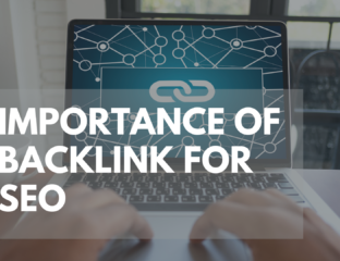 What is the Importance of Backlink for SEO?